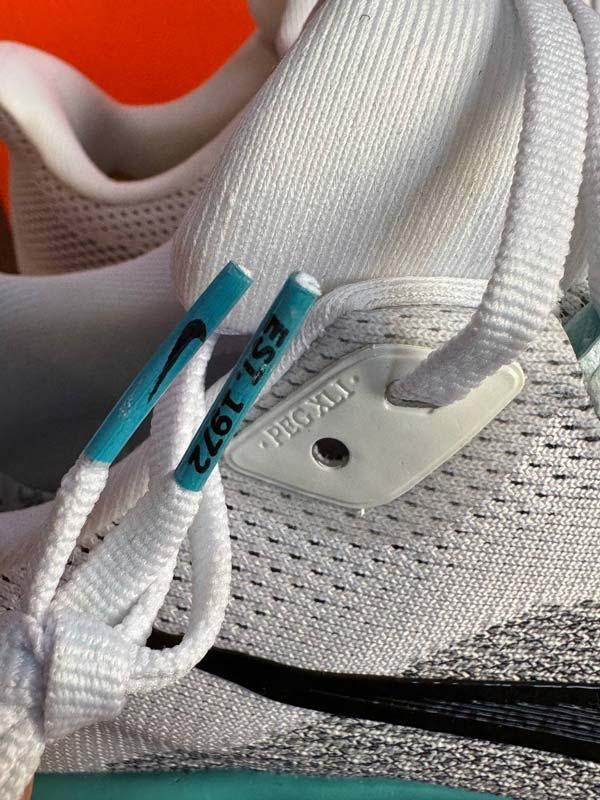 Nike zoom pegasus 41 نایک زوم پگاسوس 41