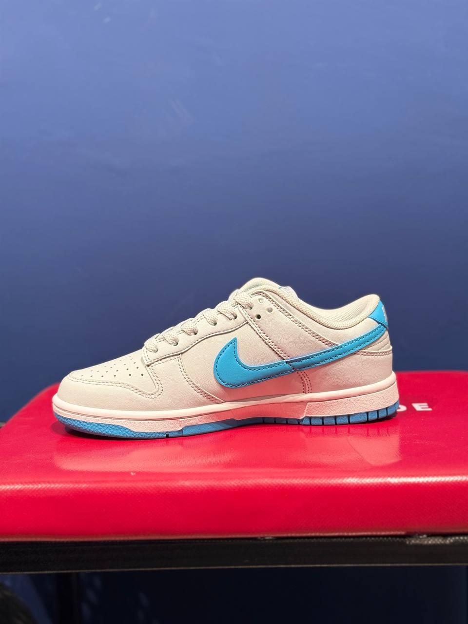 Nike sb نایک اس بی آبی
