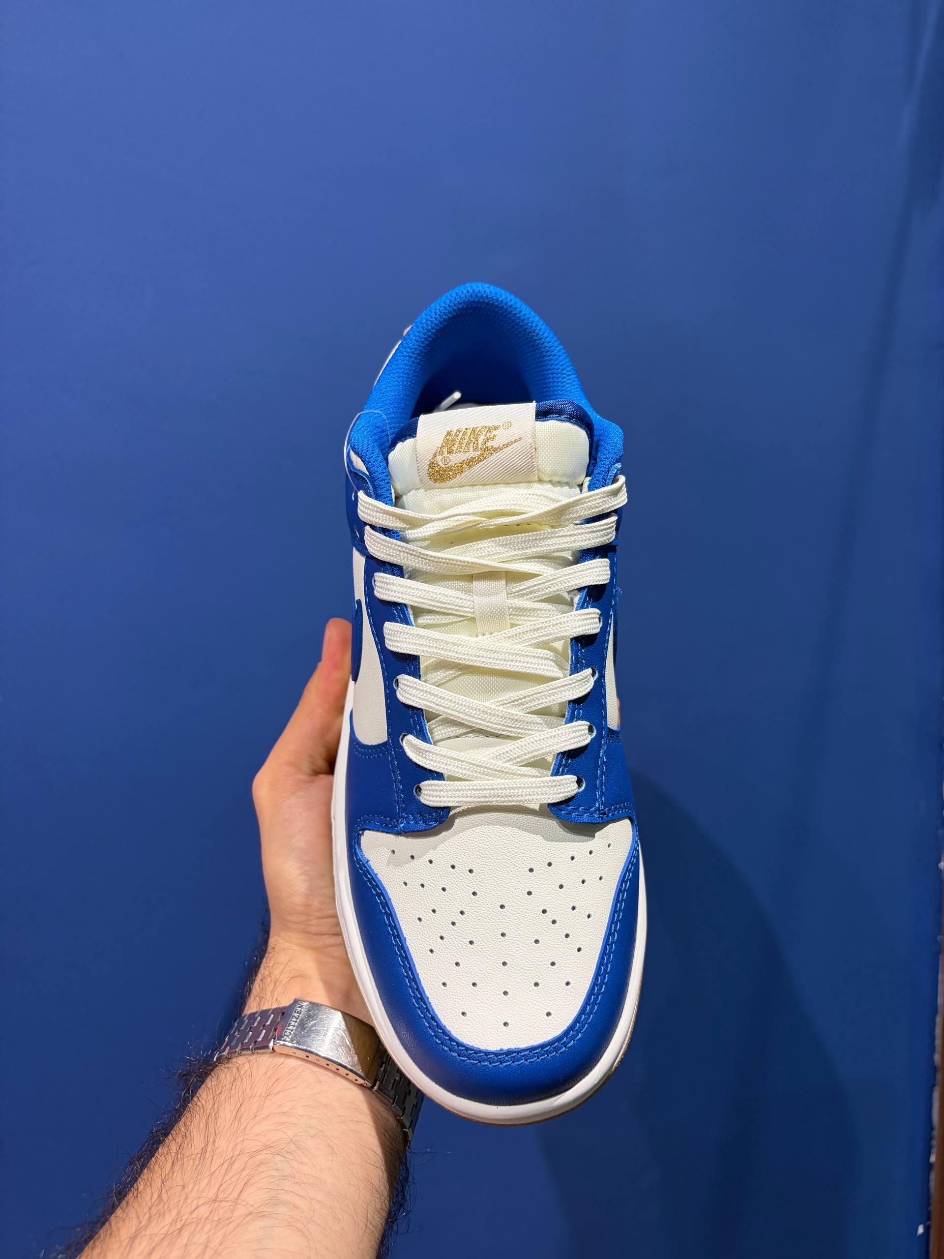 Nike sb نایک اس بی